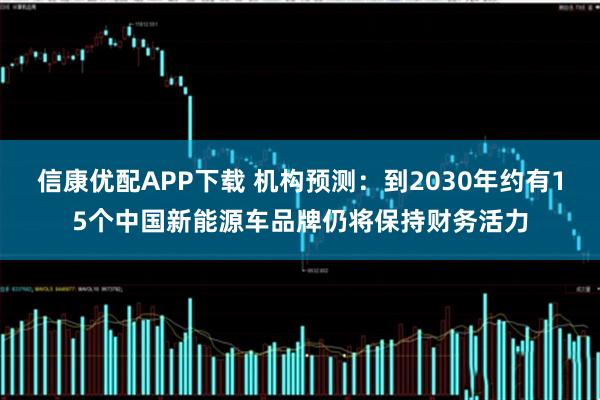 信康优配APP下载 机构预测:到2030年约有15个中国新能源车品牌仍将保持财务活力