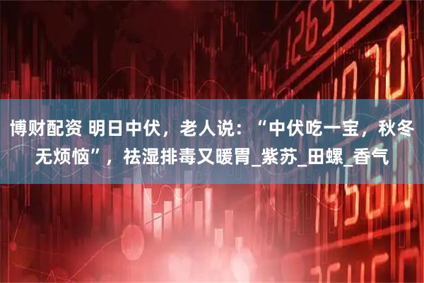 博财配资 明日中伏，老人说：“中伏吃一宝，秋冬无烦恼”，祛湿排毒又暖胃_紫苏_田螺_香气