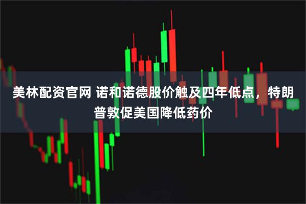 美林配资官网 诺和诺德股价触及四年低点，特朗普敦促美国降低药价