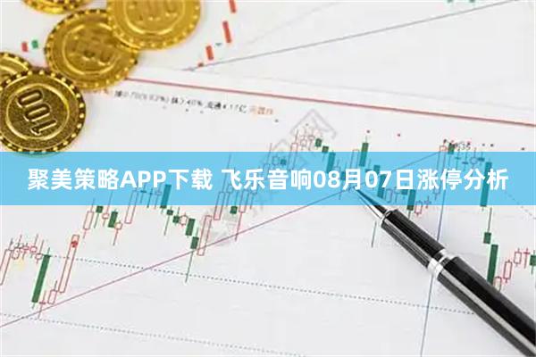 聚美策略APP下载 飞乐音响08月07日涨停分析