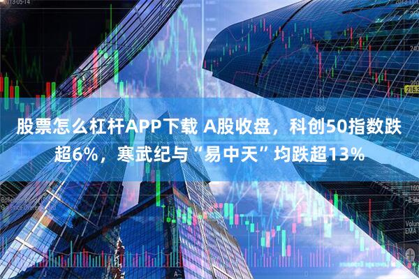 股票怎么杠杆APP下载 A股收盘，科创50指数跌超6%，寒武纪与“易中天”均跌超13%